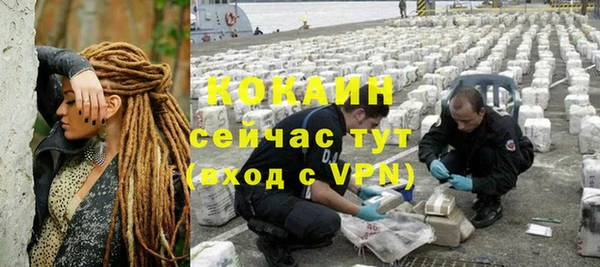 прущие грибы Балабаново