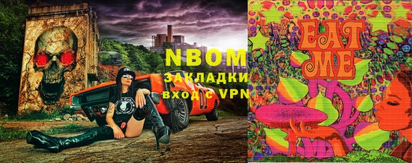 прущие грибы Балабаново